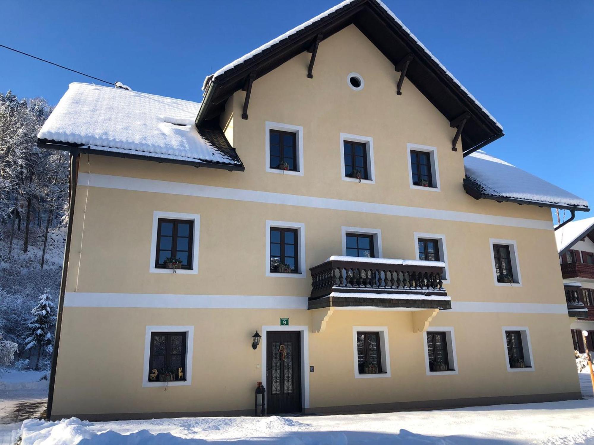 Ferienwohnungen Viktoria Buchegger Grünau im Almtal 外观 照片